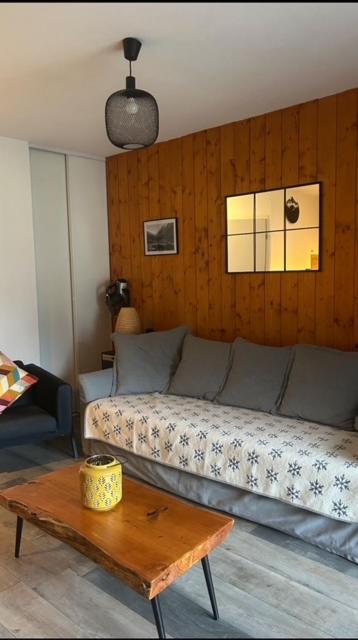 Appartement Tt Confort Au Coeur Des Montagnes Vue Sur Les Montagnes II Wifi Люс-Сен-Совёр Экстерьер фото
